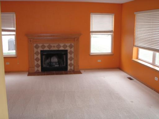 1904 Arbor Fields Dr, Plainfield, IL 60586 photo 10