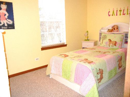 248 Millers Xing, Itasca, IL 60143 photo 12