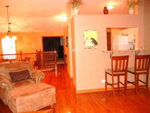 248 Millers Xing, Itasca, IL 60143 photo 16