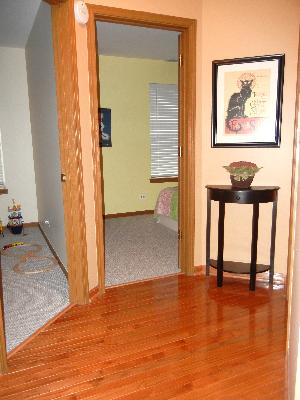 248 Millers Xing, Itasca, IL 60143 photo 10