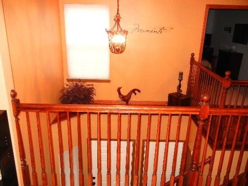 248 Millers Xing, Itasca, IL 60143 photo 3