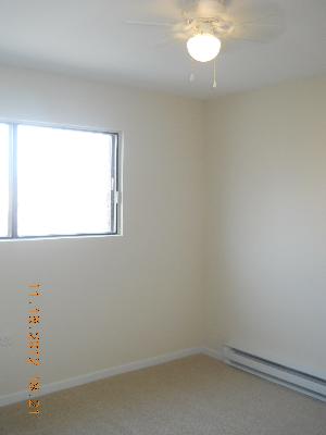 8009 Beloit Ave #2A, Bridgeview, IL 60455 photo 9