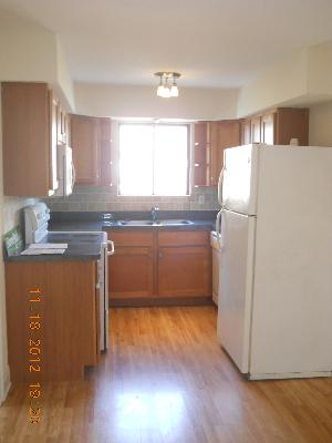 8009 Beloit Ave #2A, Bridgeview, IL 60455 photo 5