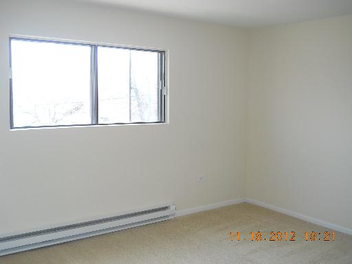 8009 Beloit Ave #2A, Bridgeview, IL 60455 photo 11