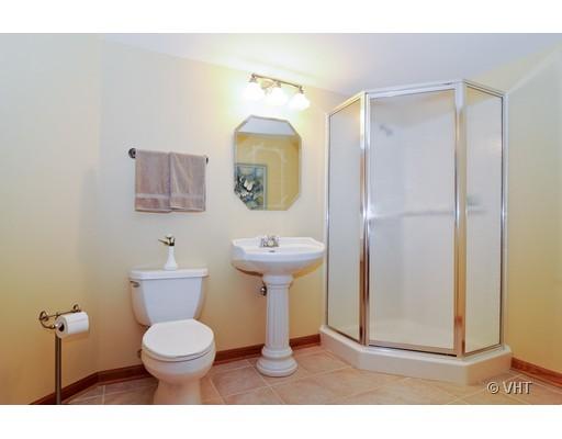 251 Fairway Dr, Beecher, IL 60401 photo 8