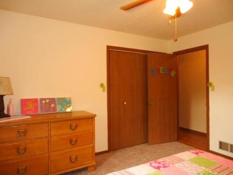 2250 Stellon St, Diamond, IL 60416 photo 9