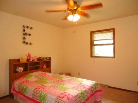 2250 Stellon St, Diamond, IL 60416 photo 8