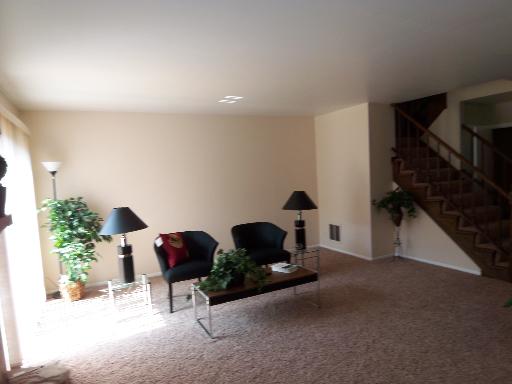 1248 Folkstone Ct, Wheaton, IL 60189 photo 4