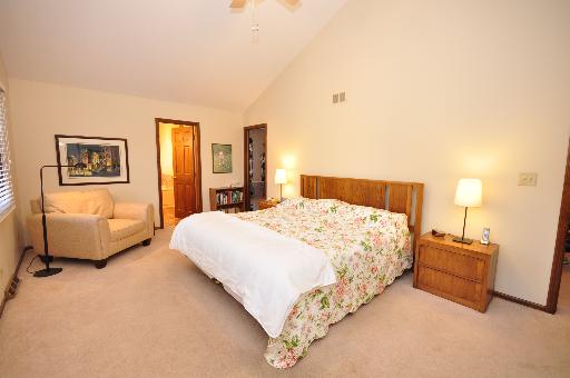 1345 E Gartner Rd, Naperville, IL 60540 photo 9