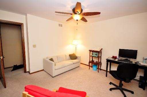 1345 E Gartner Rd, Naperville, IL 60540 photo 11