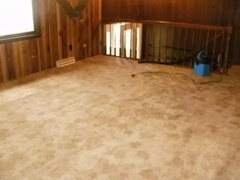 206 E Lincoln St, Seneca, IL 61360 photo 5