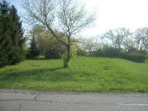 0 W North St, Essex, IL 60935