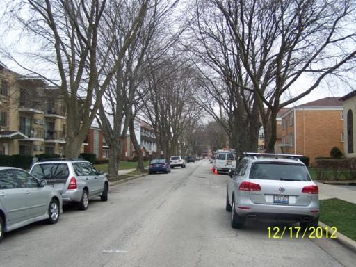 1227 E Washington St #301B, Des Plaines, IL 60016 photo 10