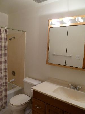 Undisclosed, Addison, IL 60101 photo 14