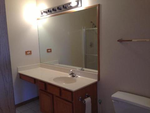 3513 Park Pl, Flossmoor, IL 60422 photo 11