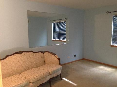 3513 Park Pl, Flossmoor, IL 60422 photo 7