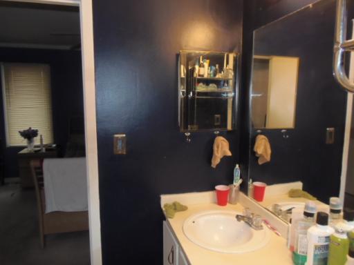 595 E Harbor Ter, Bartlett, IL 60103 photo 12