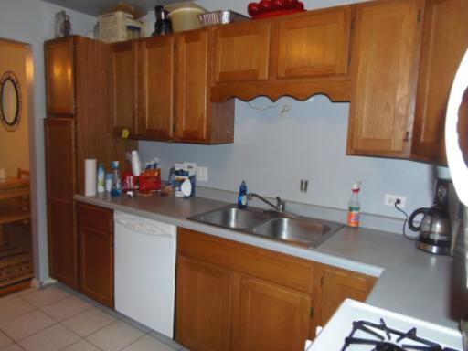 595 E Harbor Ter, Bartlett, IL 60103 photo 5