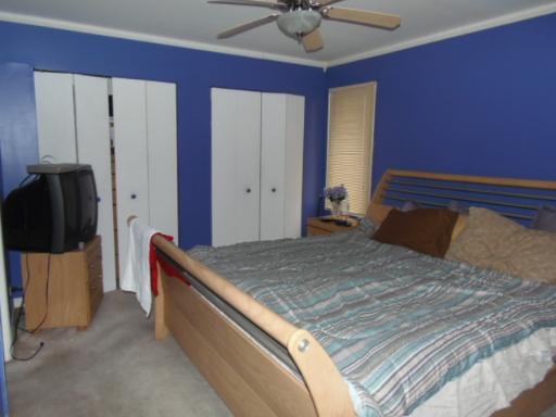 595 E Harbor Ter, Bartlett, IL 60103 photo 8