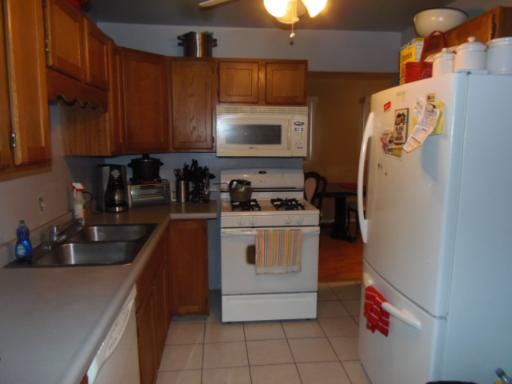 595 E Harbor Ter, Bartlett, IL 60103 photo 6