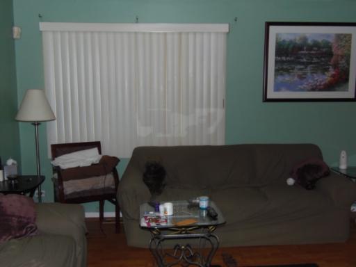 595 E Harbor Ter, Bartlett, IL 60103 photo 3