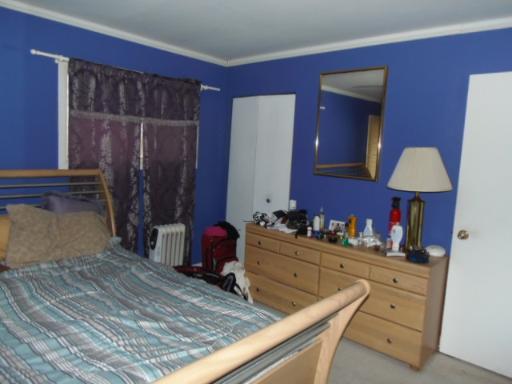 595 E Harbor Ter, Bartlett, IL 60103 photo 9