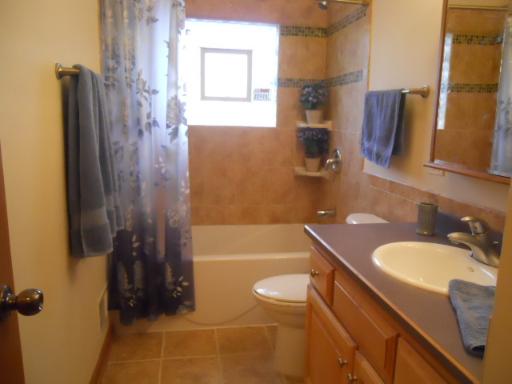 17003 Locust Dr, Hazel Crest, IL 60429 photo 9