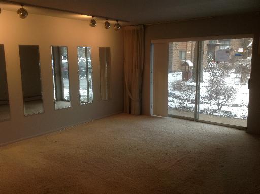 8970 N Parkside Ave #109, Des Plaines, IL 60016 photo 2