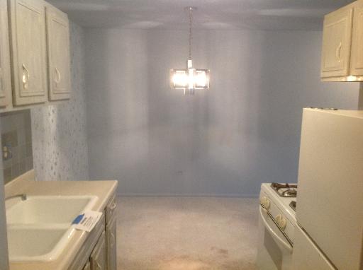 8970 N Parkside Ave #109, Des Plaines, IL 60016 photo 5