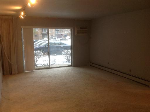 8970 N Parkside Ave #109, Des Plaines, IL 60016 photo 3