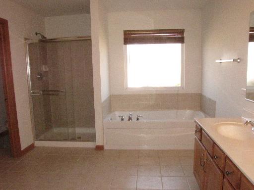 11701 Wolf Creek Ln, Plainfield, IL 60585 photo 14