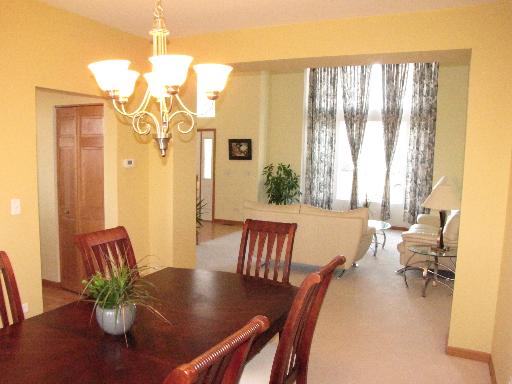 11701 Wolf Creek Ln, Plainfield, IL 60585 photo 7