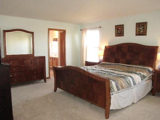 11701 Wolf Creek Ln, Plainfield, IL 60585 photo 13