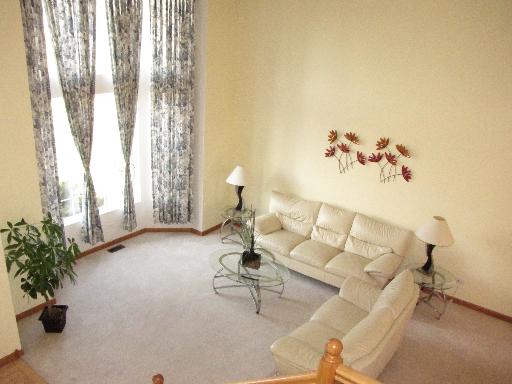 11701 Wolf Creek Ln, Plainfield, IL 60585 photo 8