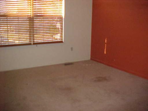 20822 W Annapolis Ct, Plainfield, IL 60544 photo 10