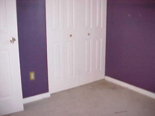 20822 W Annapolis Ct, Plainfield, IL 60544 photo 9
