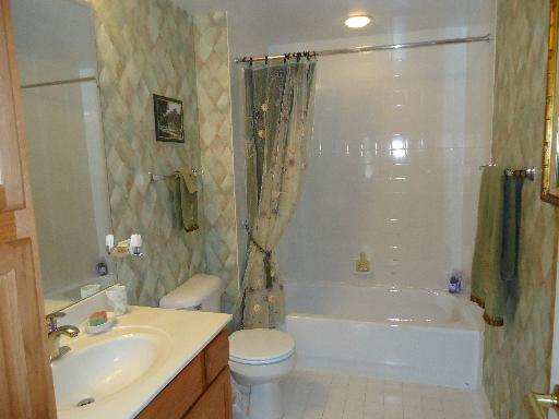 1675 Mill St #409, Des Plaines, IL 60016 photo 7