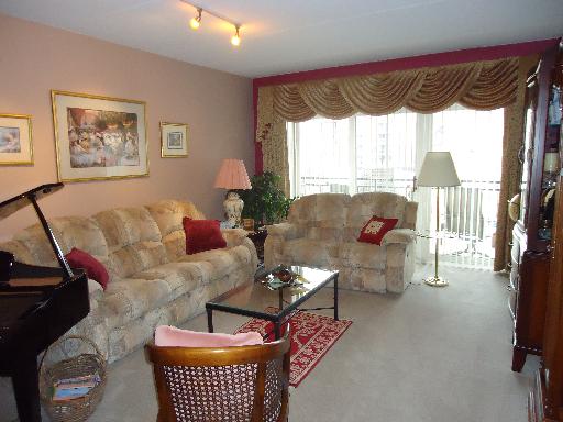 1675 Mill St #409, Des Plaines, IL 60016 photo 2