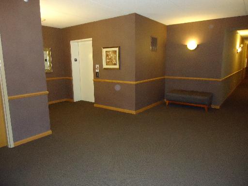 1675 Mill St #409, Des Plaines, IL 60016 photo 13