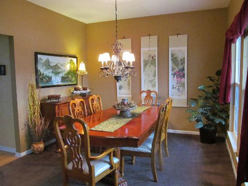 204 River Ct, Minooka, IL 60447 photo 7