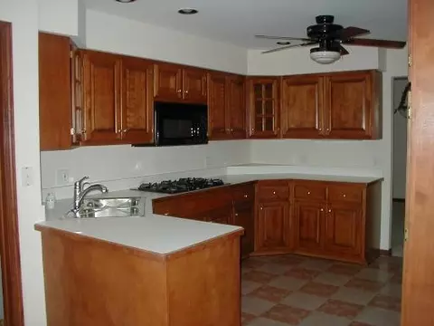 6415 Junebug Ln, Morris, IL 60450 photo 2