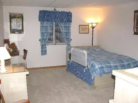 21017 W Braxton Ln, Plainfield, IL 60544 photo 12
