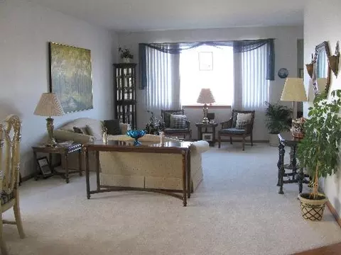 21017 W Braxton Ln, Plainfield, IL 60544 photo 2