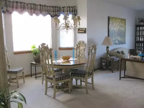 21017 W Braxton Ln, Plainfield, IL 60544 photo 3