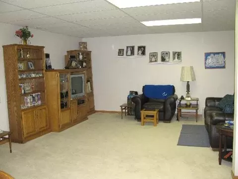 21017 W Braxton Ln, Plainfield, IL 60544 photo 9