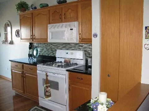 21017 W Braxton Ln, Plainfield, IL 60544 photo 5