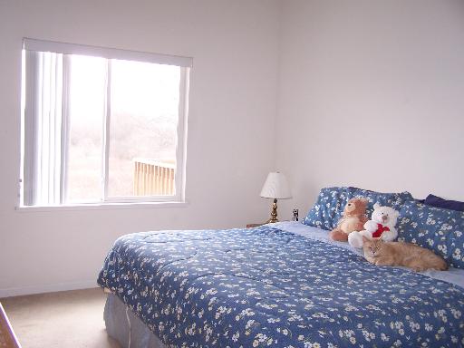 5733 Fieldstone Trl, Mchenry, IL 60050 photo 5