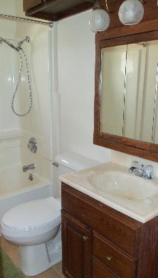 154 W Richton Rd, Steger, IL 60475 photo 6