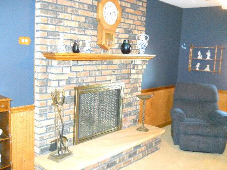 2941 E Brunswick Rd, Beecher, IL 60401 photo 10