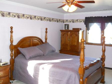 2941 E Brunswick Rd, Beecher, IL 60401 photo 11
